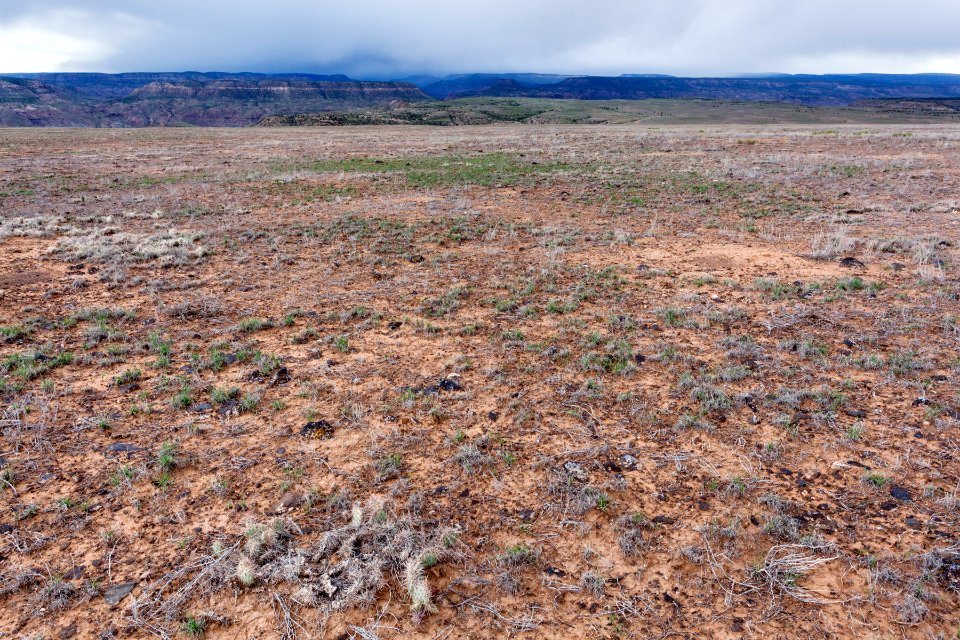 West of Beaver Gulch