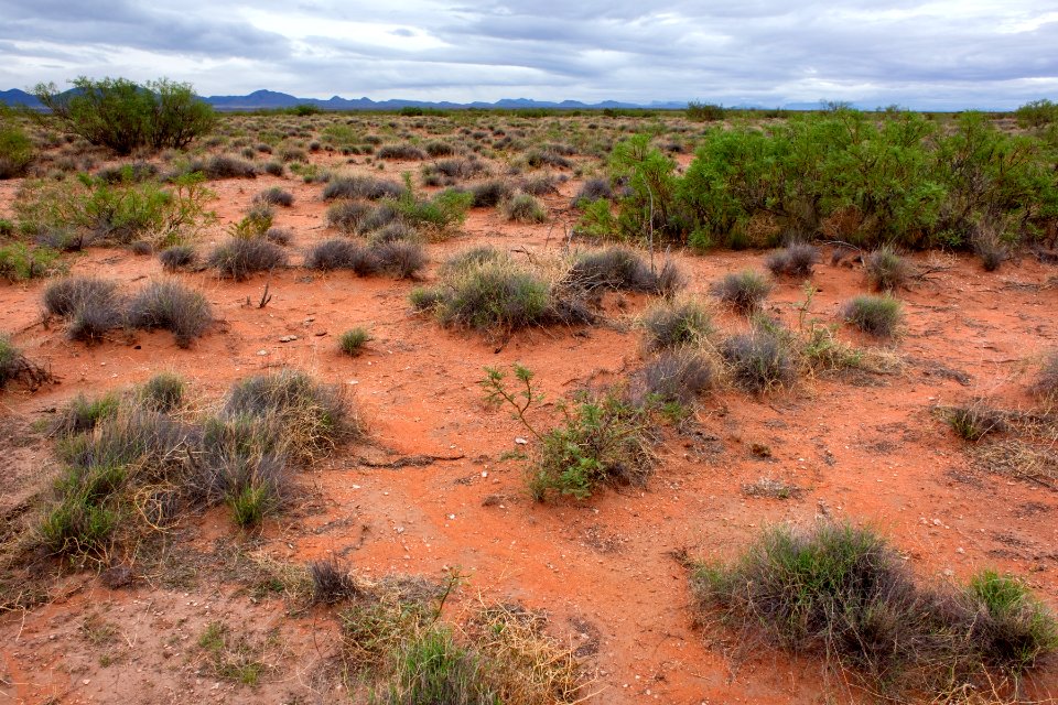 Jornada del Muerto Plain