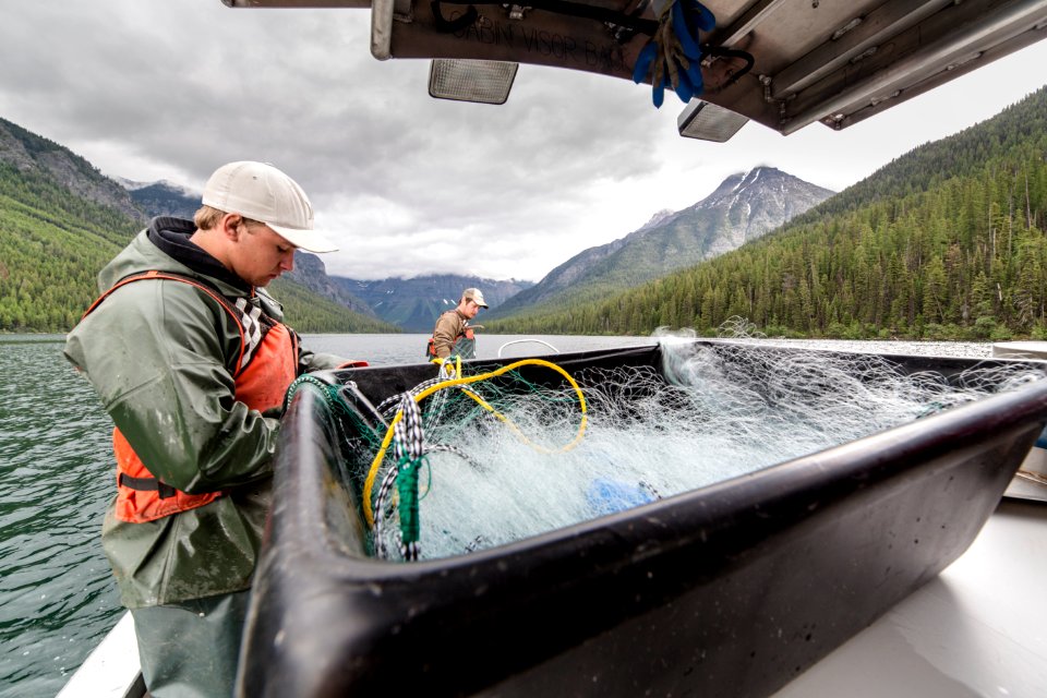 Quartz Lake Fish Project 24