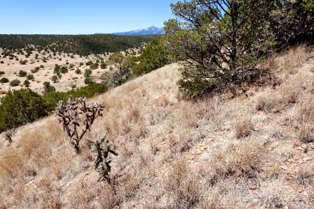 Fort Stanton