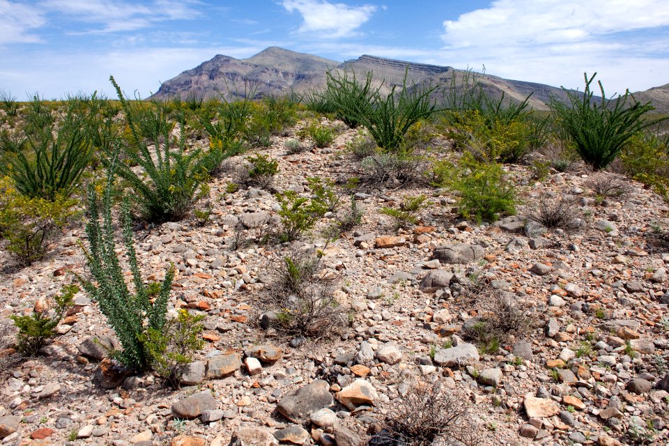 South end of the Caballo Mountains