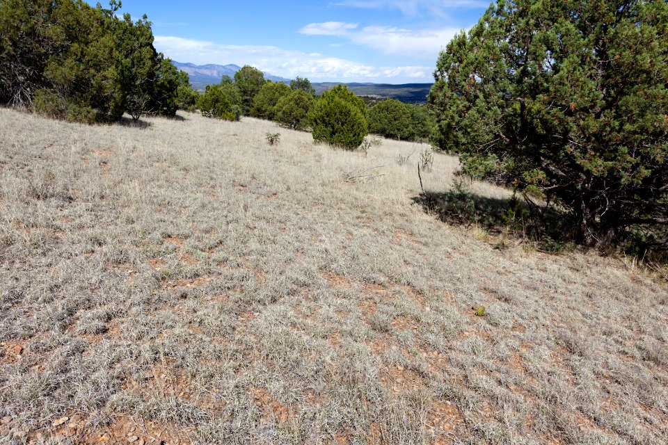 Northwest of Ft. Stanton