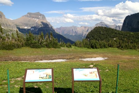 Superpowers exhibit - Logan Pass