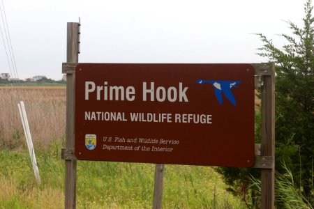 Prime Hook NWR
