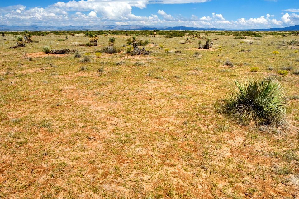 East of Lone Mountain