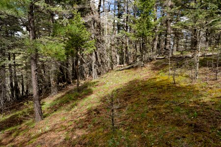 Near Carlton Canyon