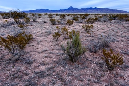 South-southeast of Taylor Mountain