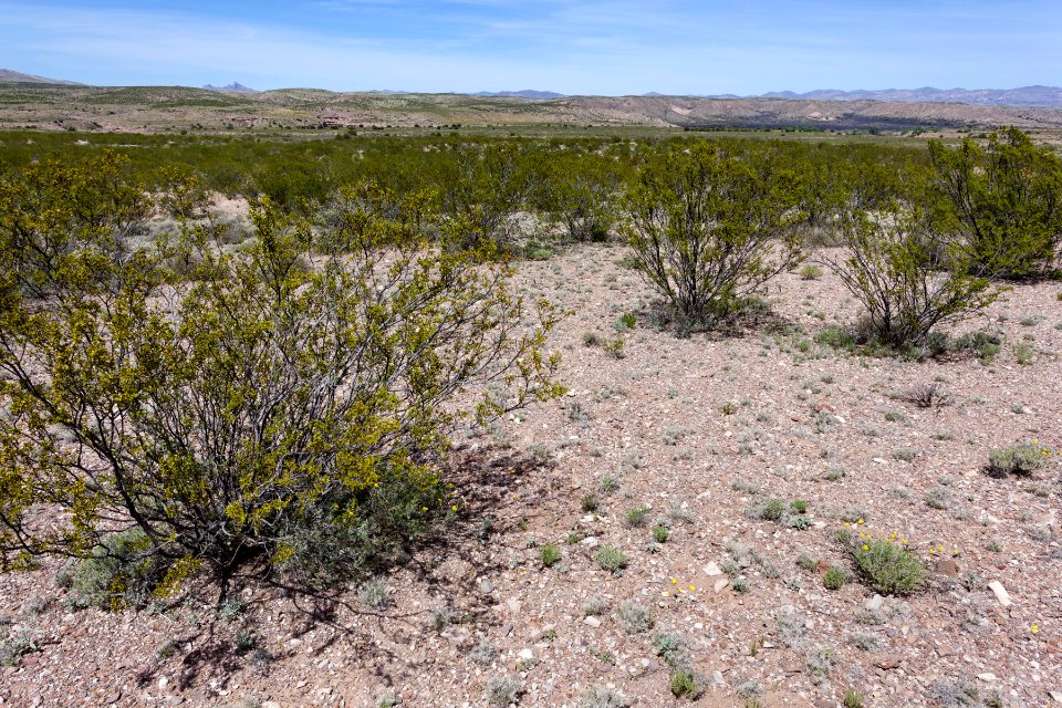 North-northeast of Caprock Mountain