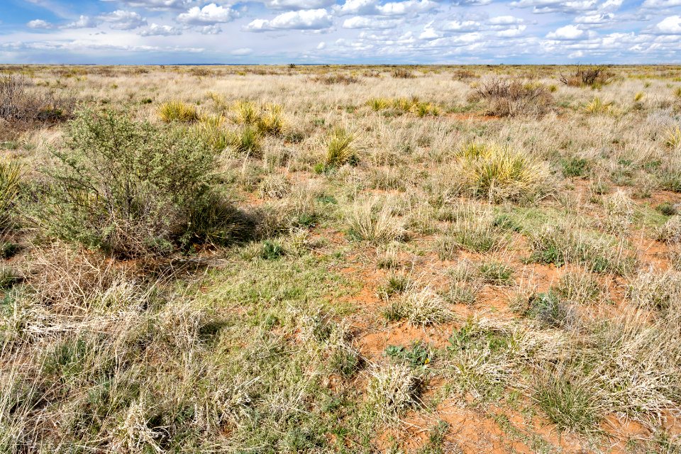 Near Arroyo de Anil