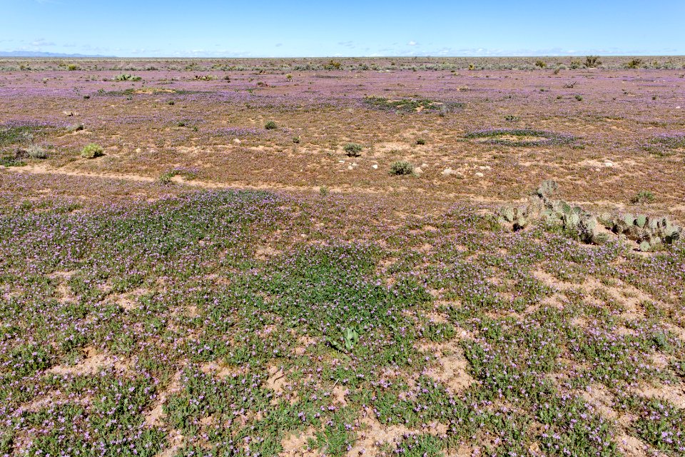 North-northeast of Lordsburg
