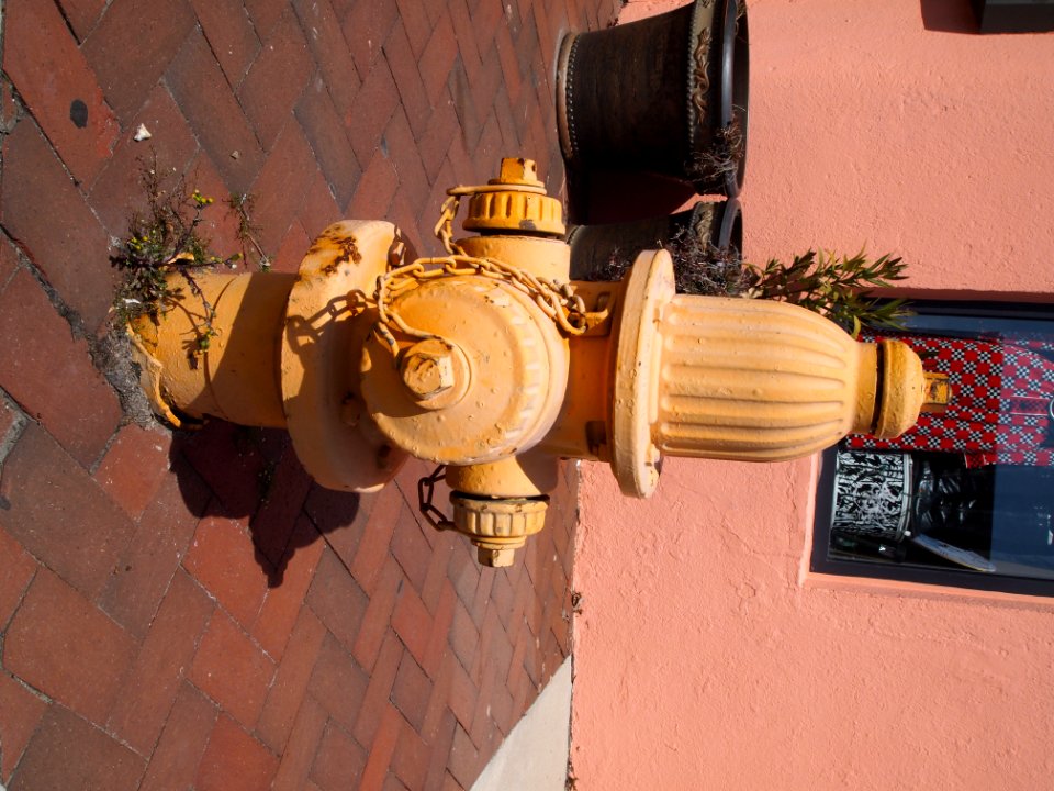 Fire Hydrant