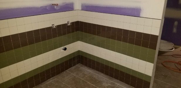 Canaan Valley National Wildlife Refuge - Wall tile for restrooms on both sides