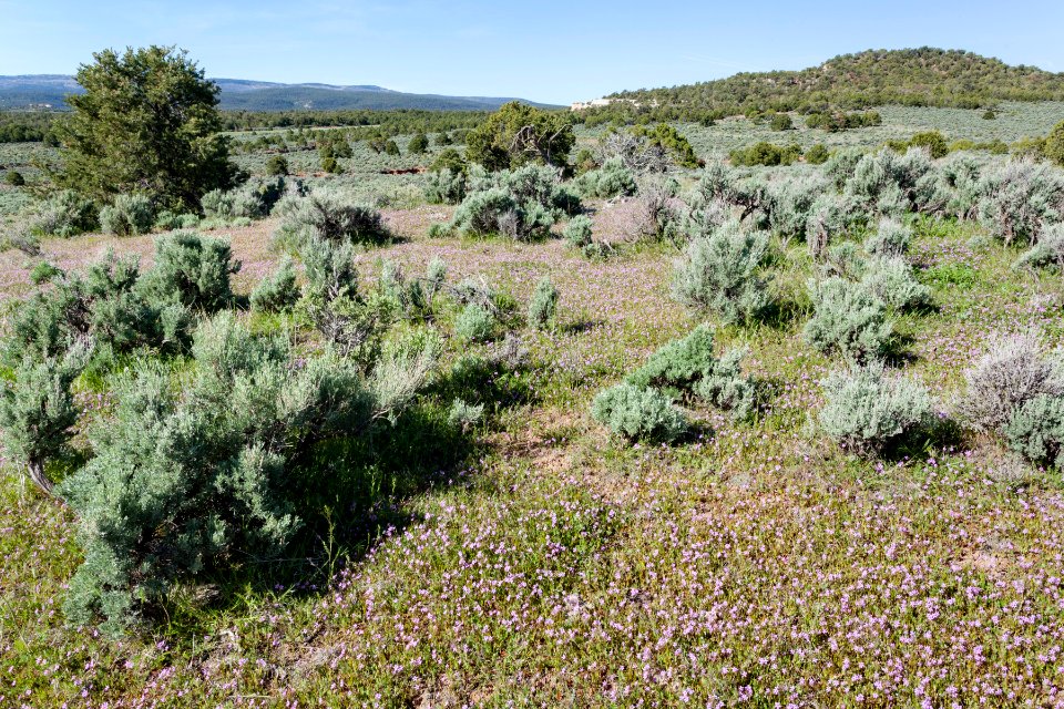 Northwest of No Thoroughfare Canyon