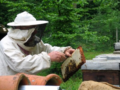 Beekeeper apiary beegarden