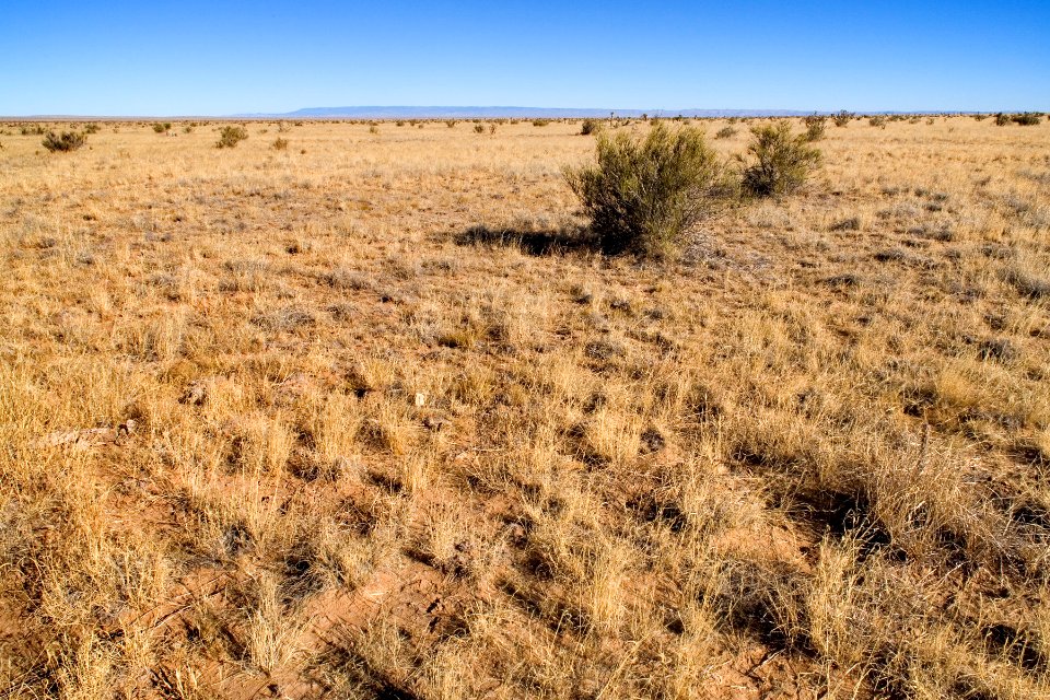 Southwestern Otero Mesa