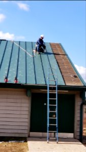 Canaan Valley NWR - Metal roof removal starts
