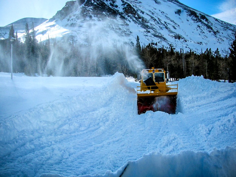 PLOWING-TWOMED-APRIL2018-0663