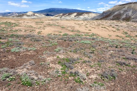 South of Grand Mesa