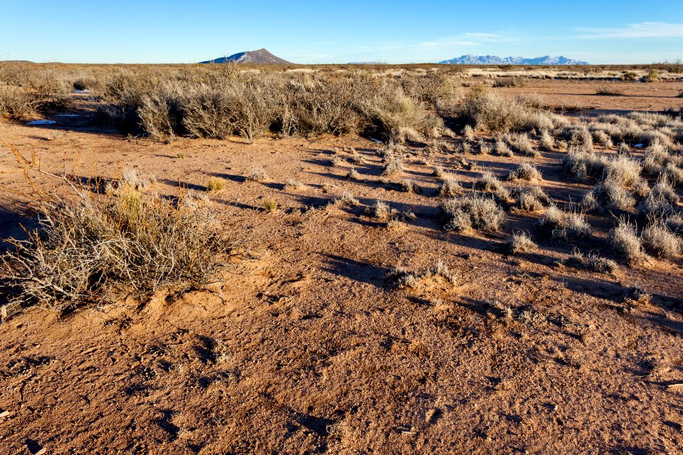 Near Jones Spring Draw