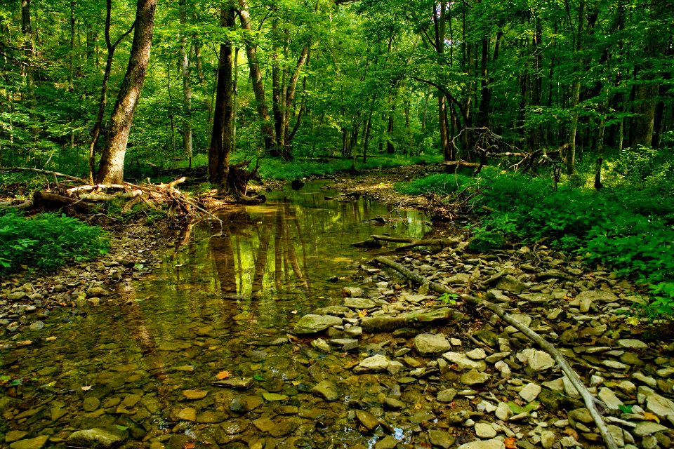 Twin Creek Nature Preserve