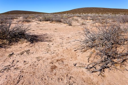 Near Black Mountain