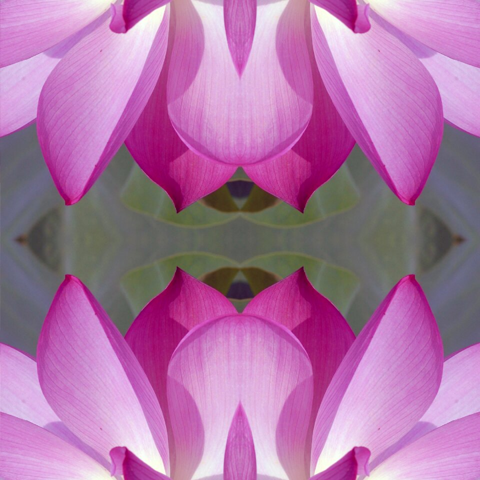 Abstract nature plant