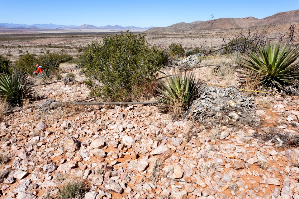Northwestern foothills of the Animas Mountains