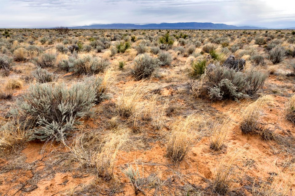 Northern Jornada Plain