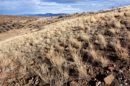 Near Animas Peak