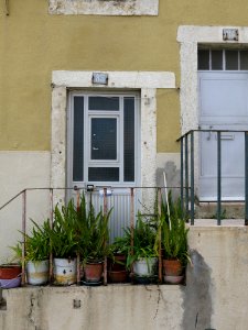 2016-10-24 Lissabon 6275 photo