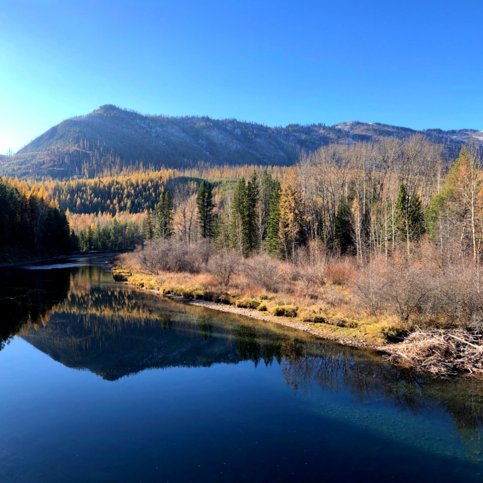 Lower McDonald Creek and Beaver Lodge - November 2, 2020