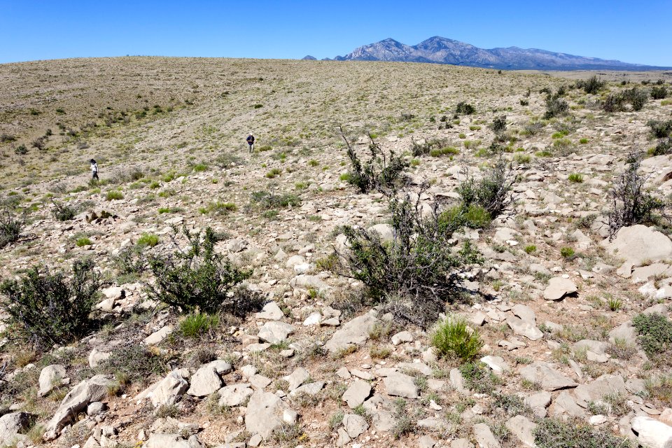 Near Arroyo Serrano