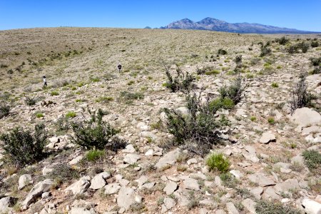 Near Arroyo Serrano
