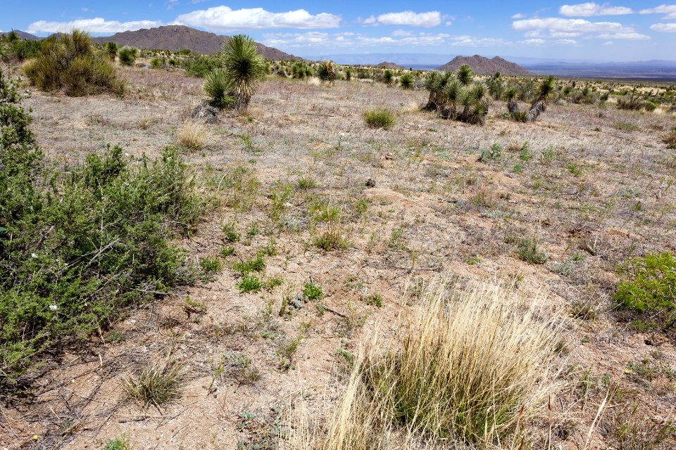 North-northeast of Aguirre Spring