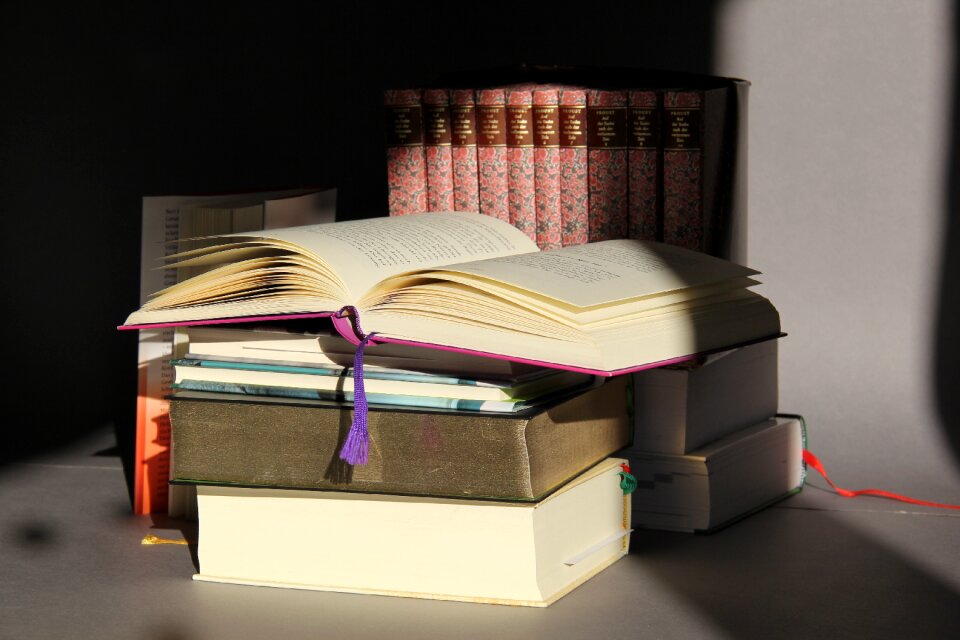 Book pages bookworm literature