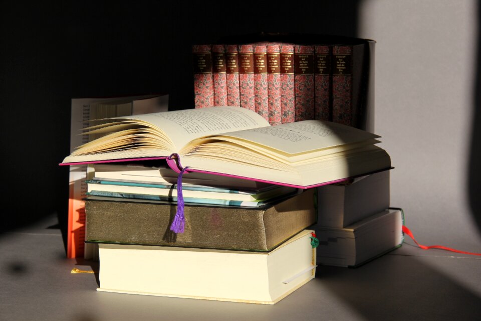 Book pages bookworm literature photo