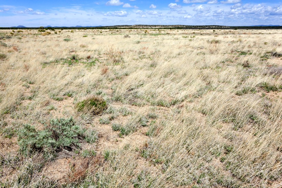 Near Cebolla Canyon