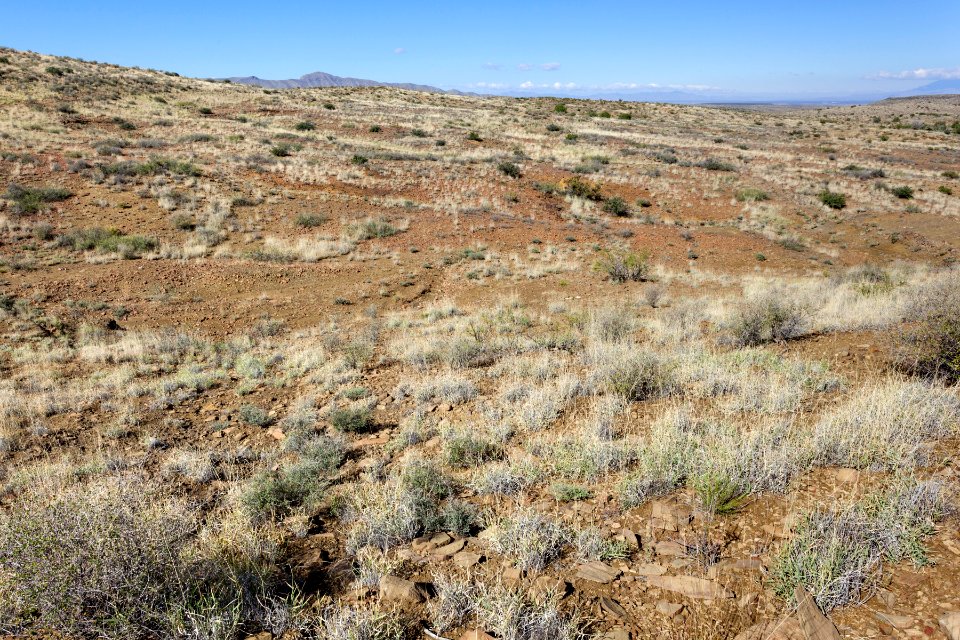 Near Ash Canyon