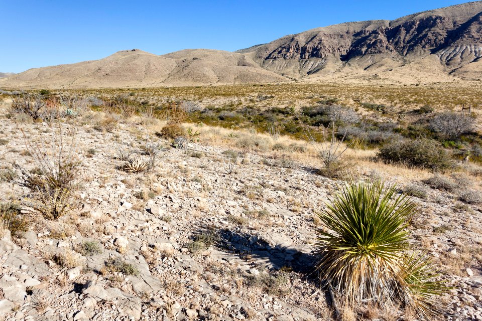 Western base of the Guadalupe Mountains