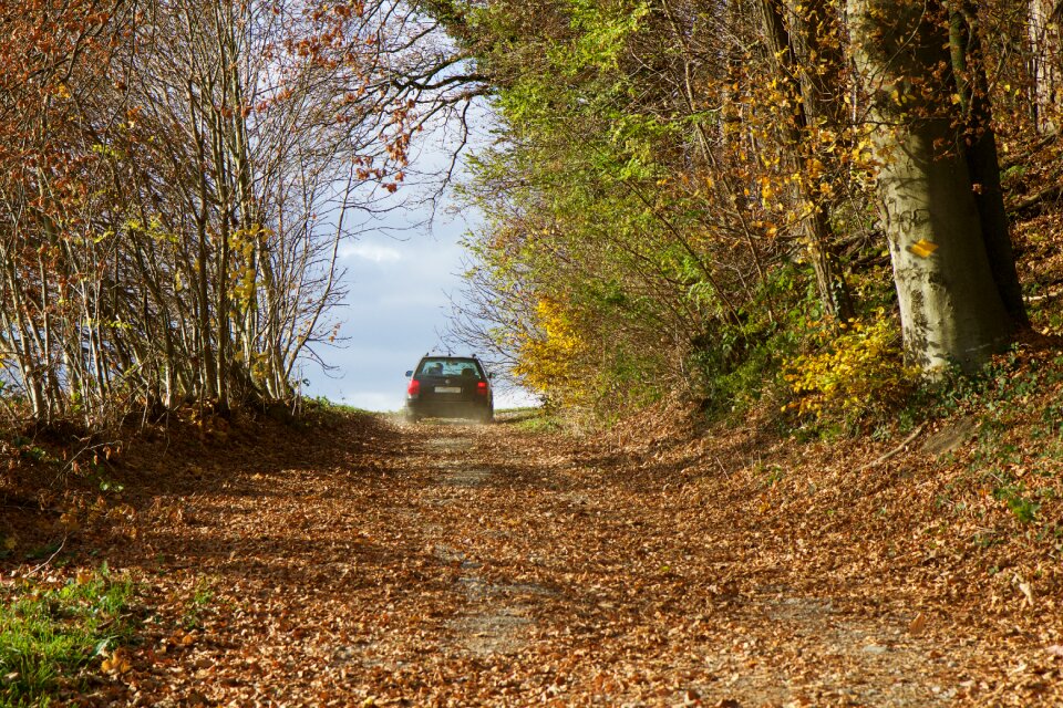 Vehicle autumn fall leaves photo