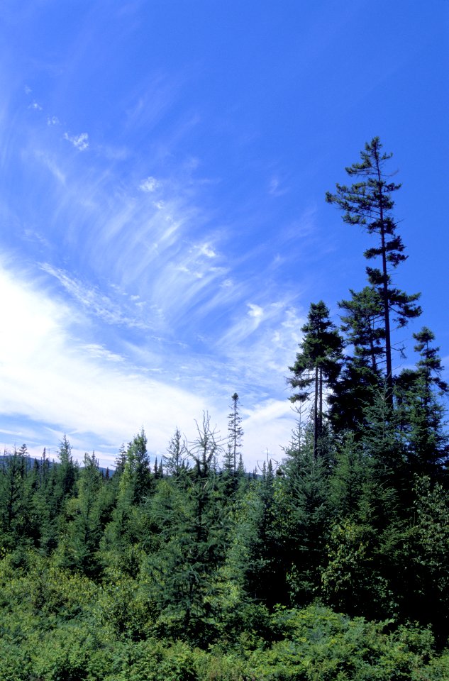 Silvio O. Conte National Wildlife Refuge