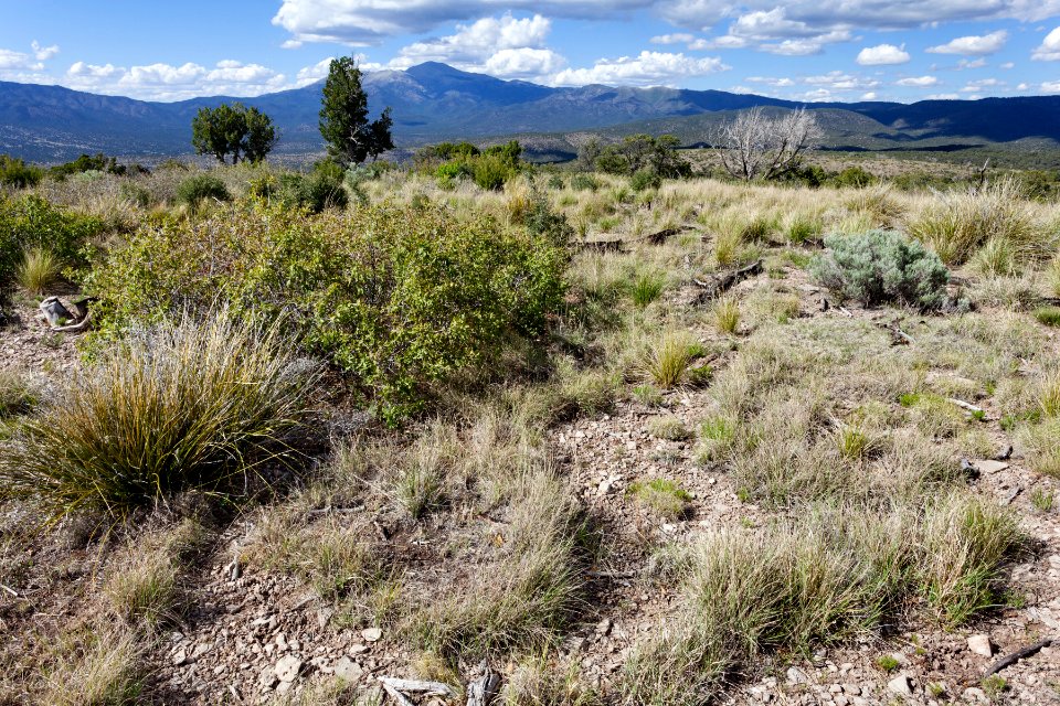 Northeast of Bent