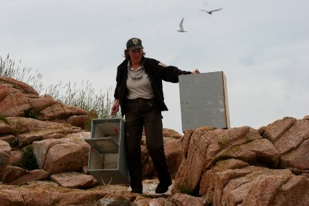 FWS Worker With Capture Boxes photo