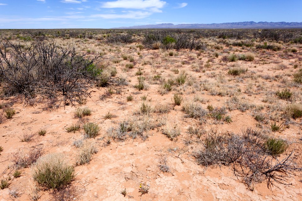 North-northeast of Jornada Lakes