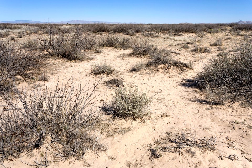 Northeast edge of Lordsburg Playa