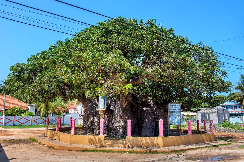 Jaffna Trip 2017 Nov