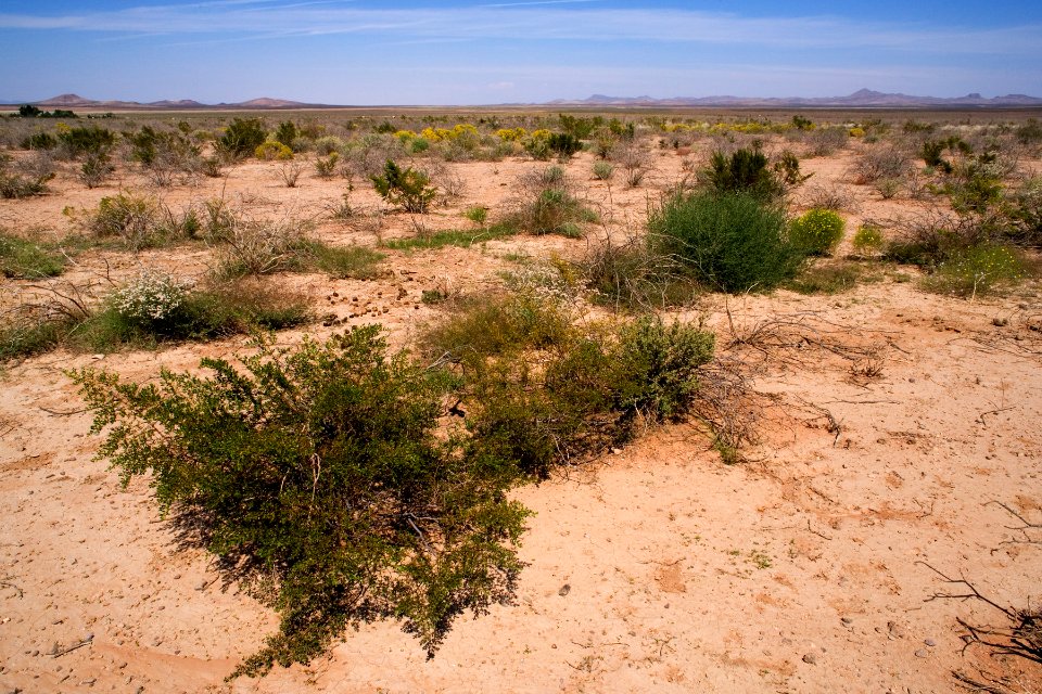East-northeast of Animas