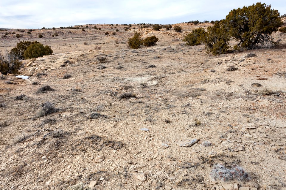Near Arroyo Piedra Lumbre