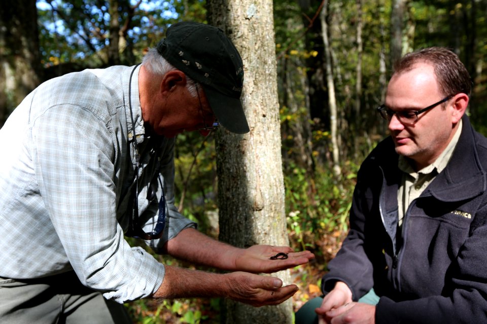 Sharing knowledge
