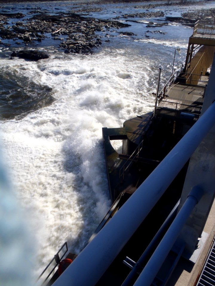 Fish lift entrance on the CT River